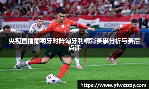央视直播葡萄牙对阵匈牙利精彩赛事分析与赛后点评